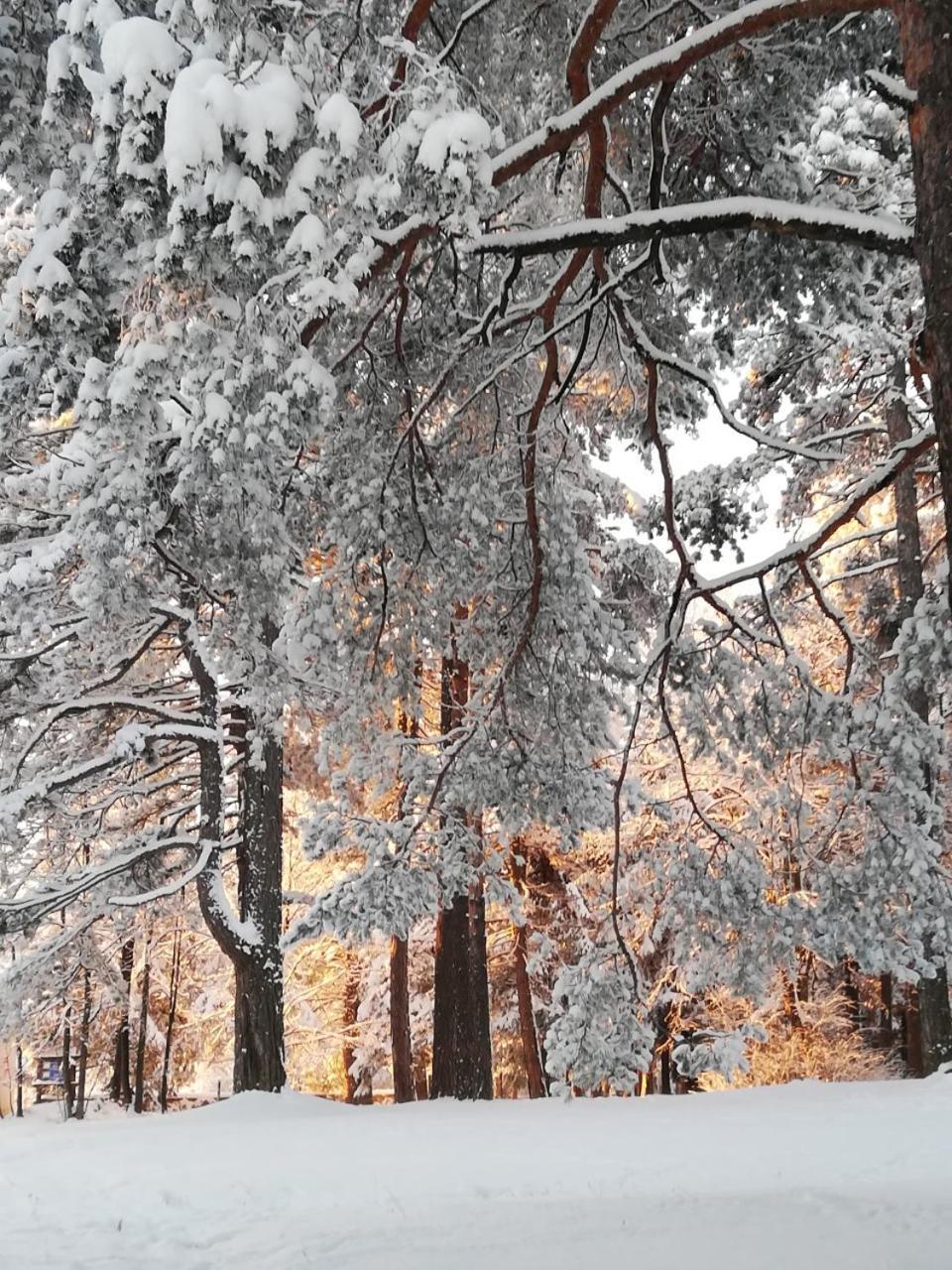 Апартаменты Zlatibor Wood Экстерьер фото